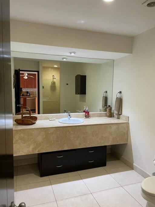 Apartamento 8th Floor Magna *
