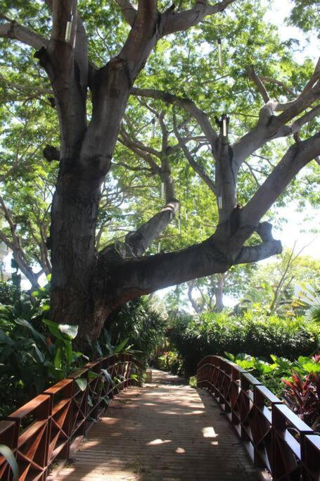 Gardens, Front *