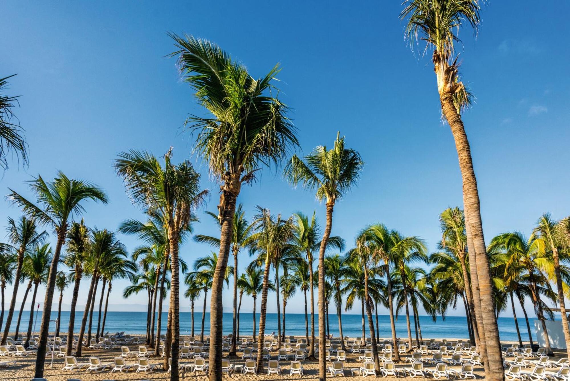 Riu Vallarta 3*
