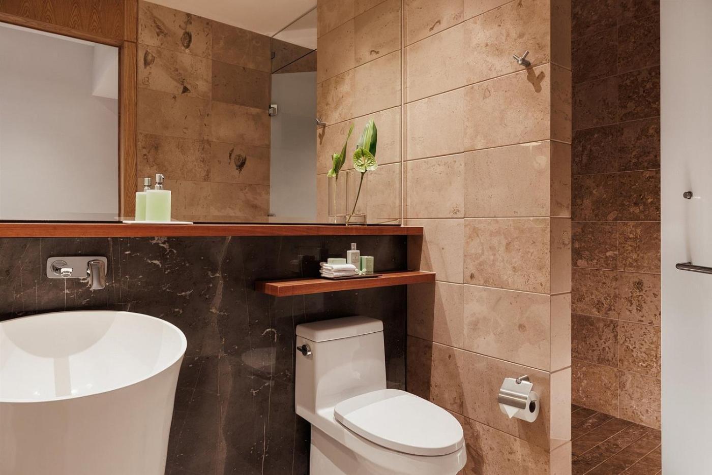 Hotel Vidanta World Exclusive Unit, Vip Park And Free Sky Dream Gondolas Nuevo Vallarta
