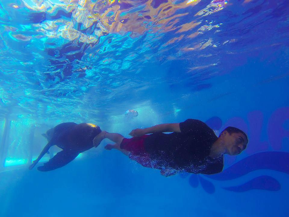 Hotel Splash Nuevo Vallarta&parque Acuatico 4*