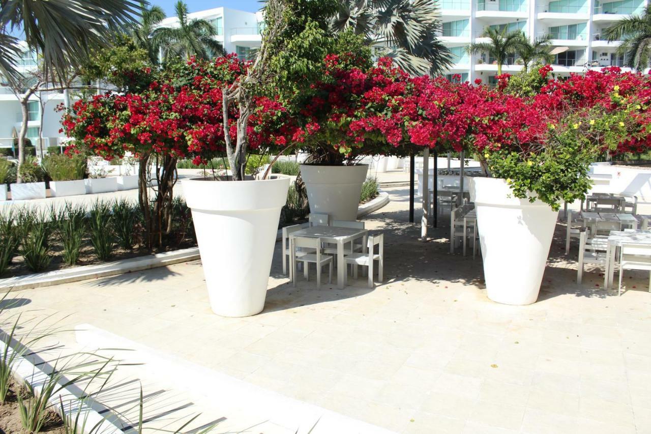 Estudio 310 Nuevo Vallarta, Frente Al Mar, Totalmente Equipado Y Amueblado!