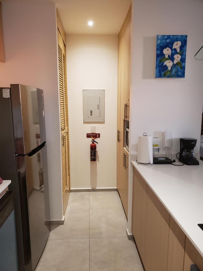 Aria Ocean 208 Departamento Con Playa Nvo Vallarta *