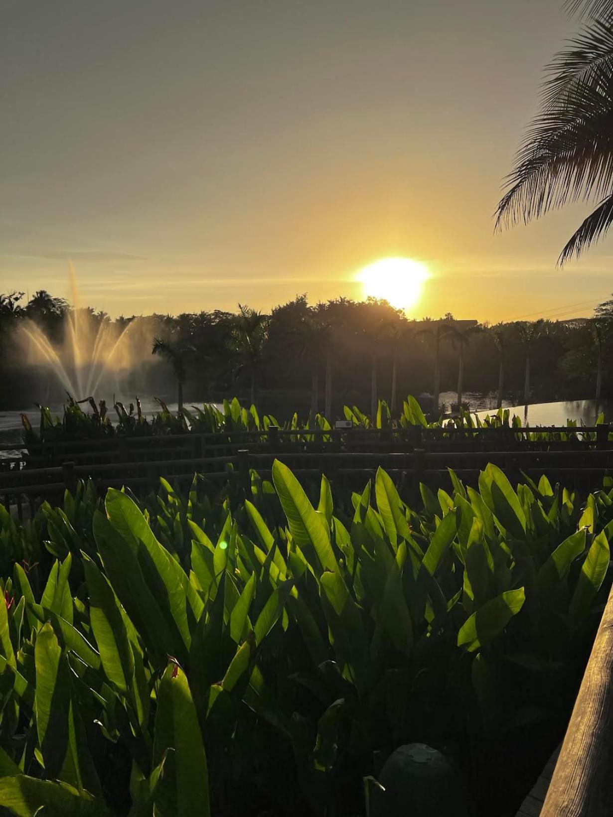 Vidanta Nuevo Vallarta