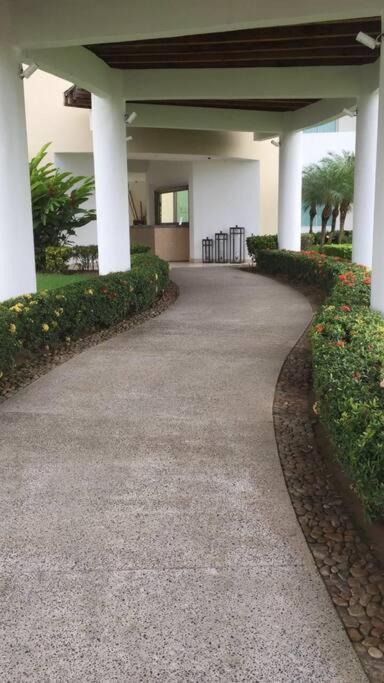 Super 1 En Vidanta Apartamento