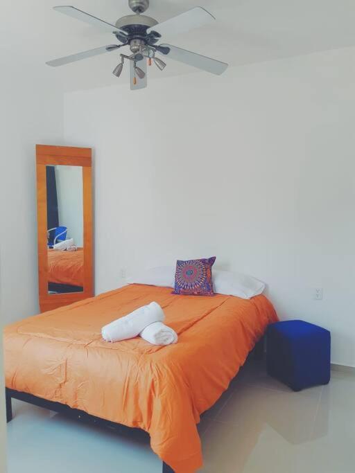 Departamento 6 Corales Mono Ambiente