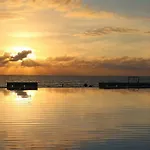 Amazing Beach Front - Acqua Nuevo Vallarta - Mx
