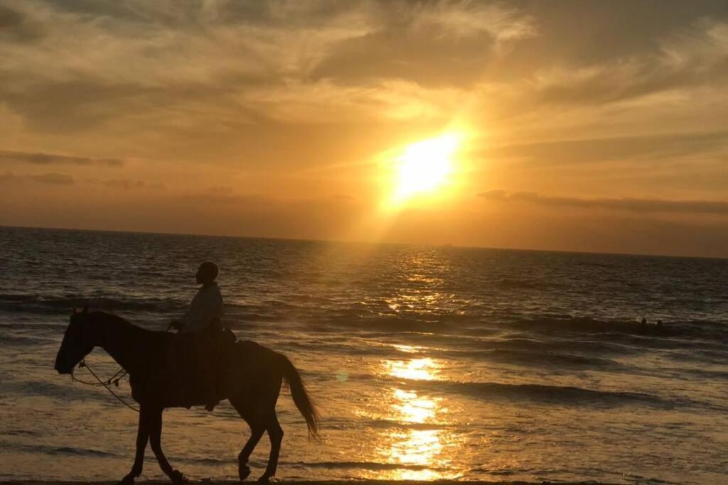 Todas Con Vista Al Mar/acceso Directo A Playa