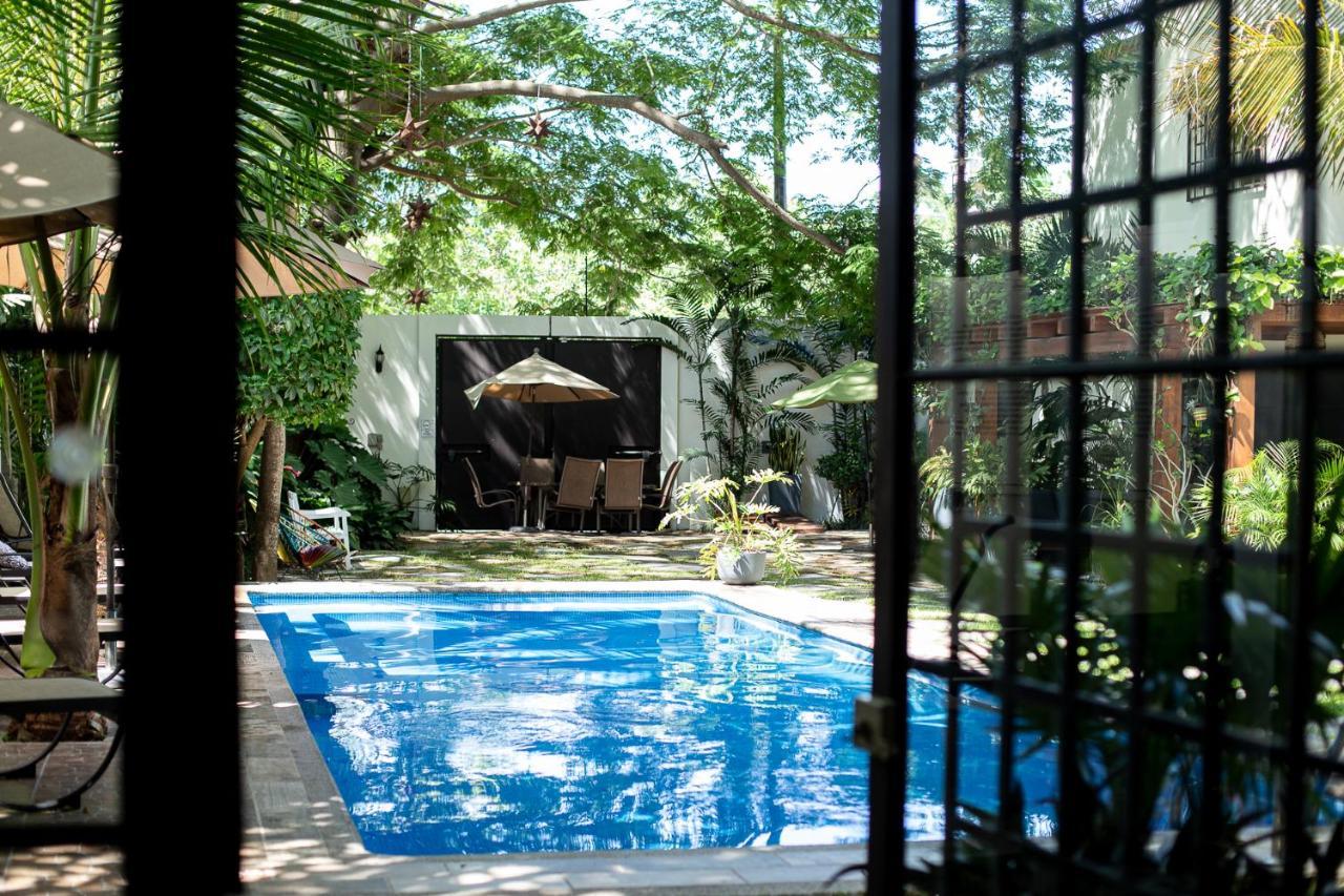 Parota 4*