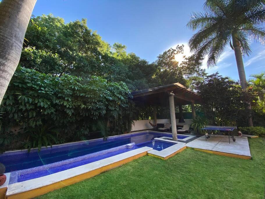 Bismarckia Villa Nuevo Vallarta