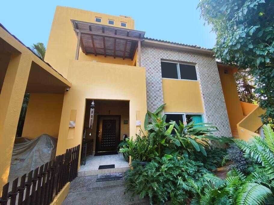 Bismarckia Villa Nuevo Vallarta