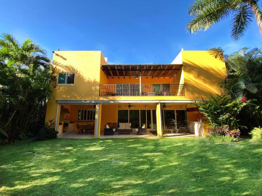 Bismarckia Villa *