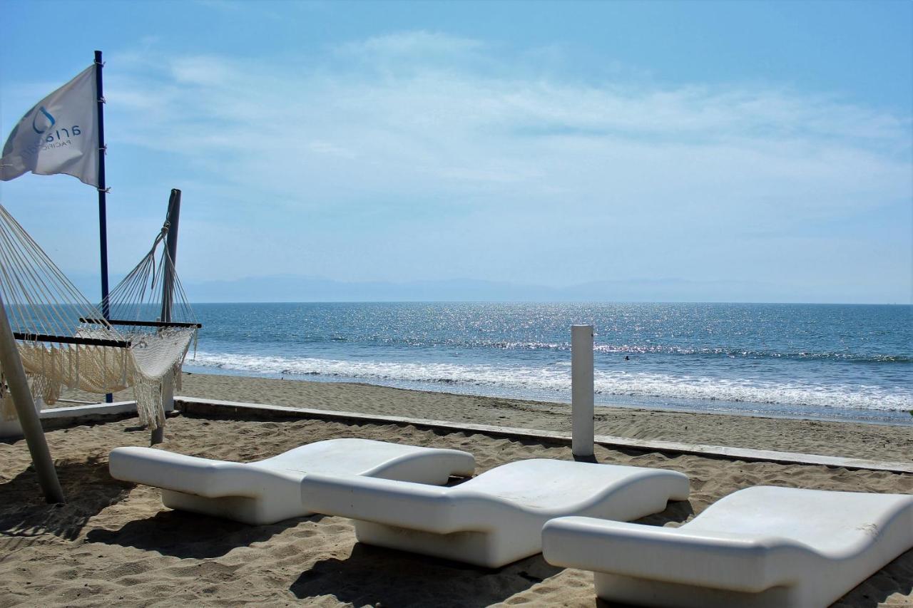 Estudio 573 Nuevo Vallarta, Frente Al Mar, Equipado Y Amueblado ! Apartamento *