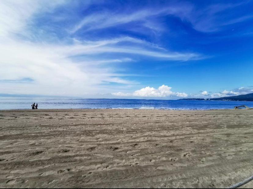 Apartment Con Vista Al Mar En Aria Ocean Nvo Vallarta