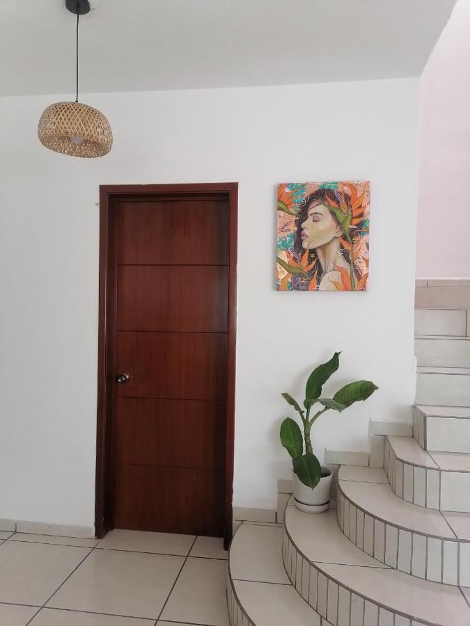 Jardin * Nuevo Vallarta