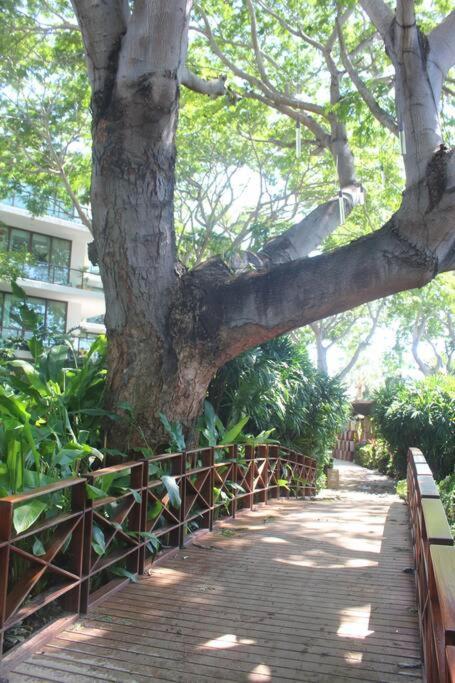 Villa Gardens, Front *