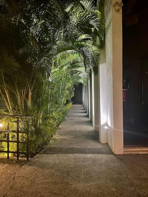 Taheima Vip * Nuevo Vallarta