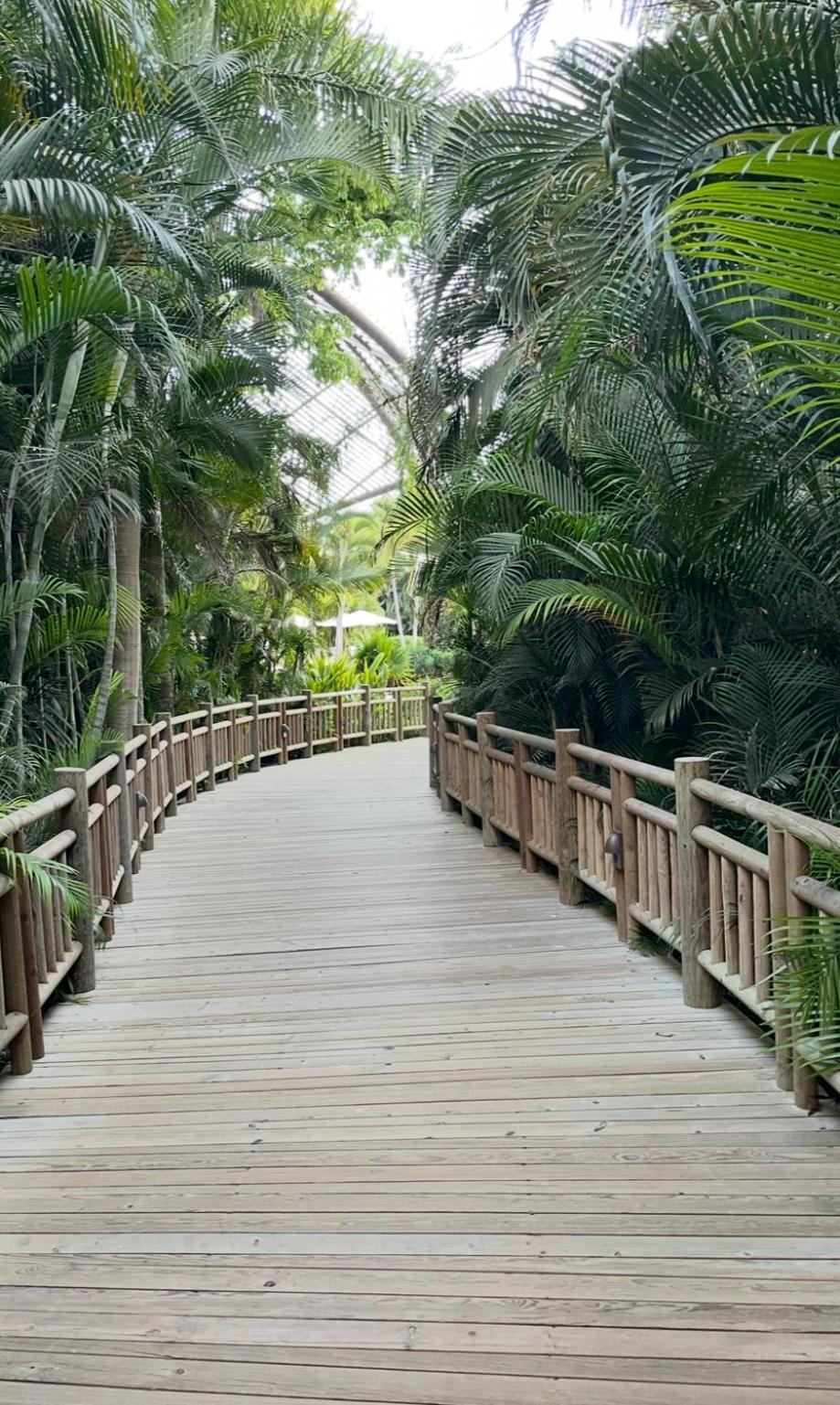 Resort Vidanta *