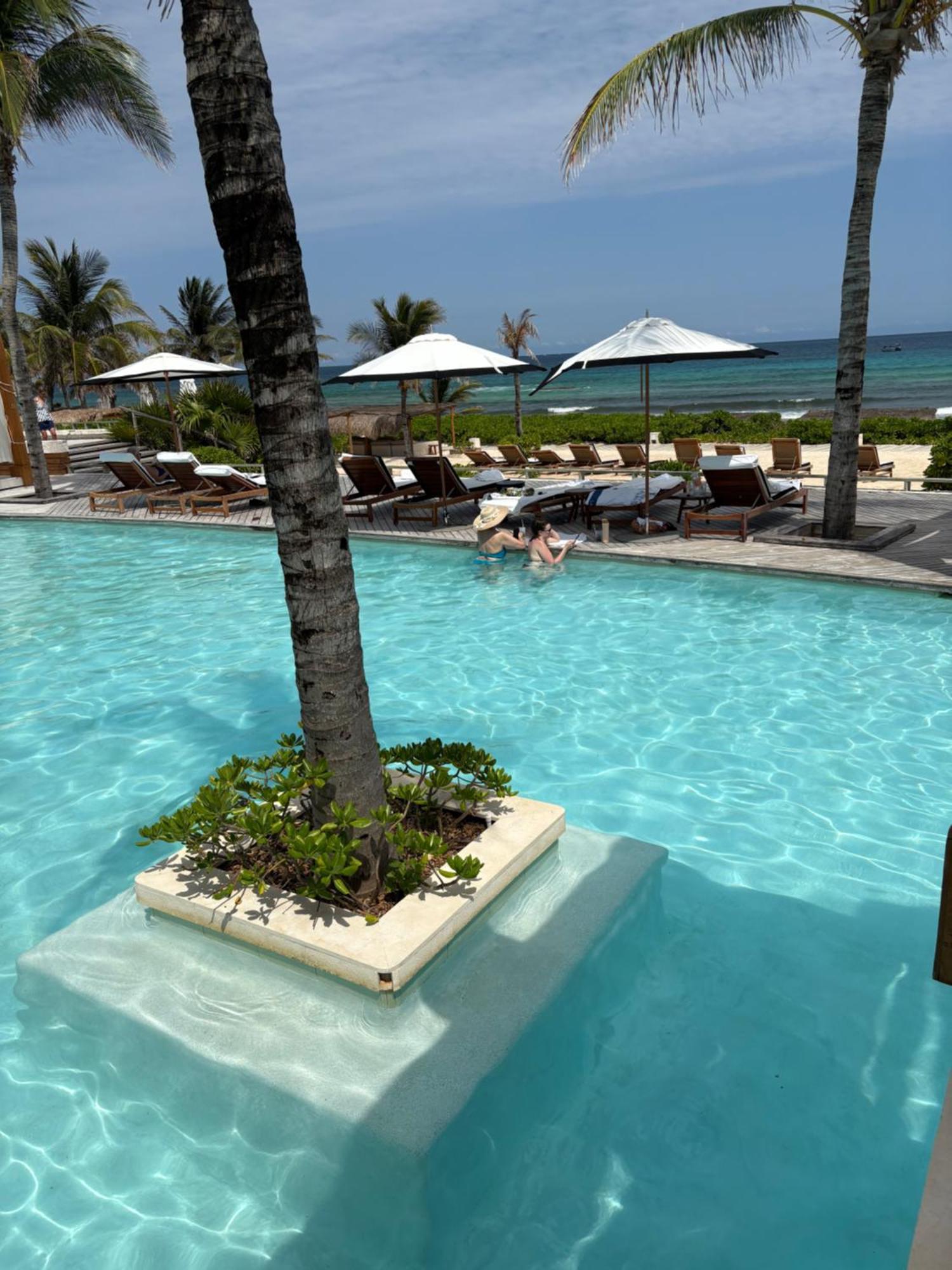 Vidanta *