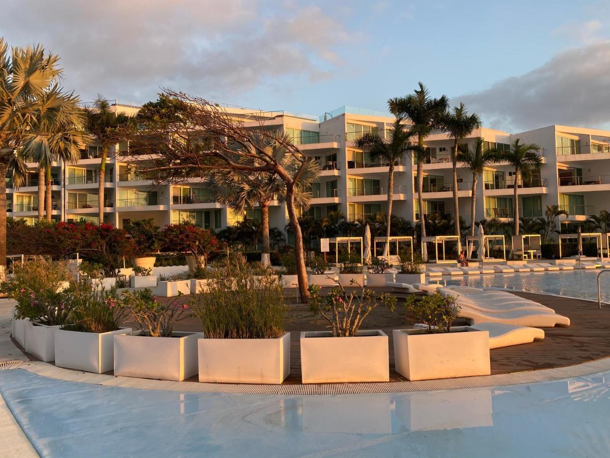 Departamento Aria Ocean, Flamingos *