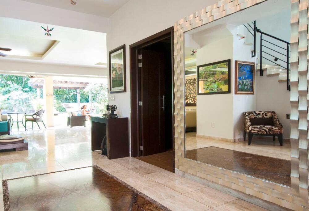 Bismarckia Villa Nuevo Vallarta