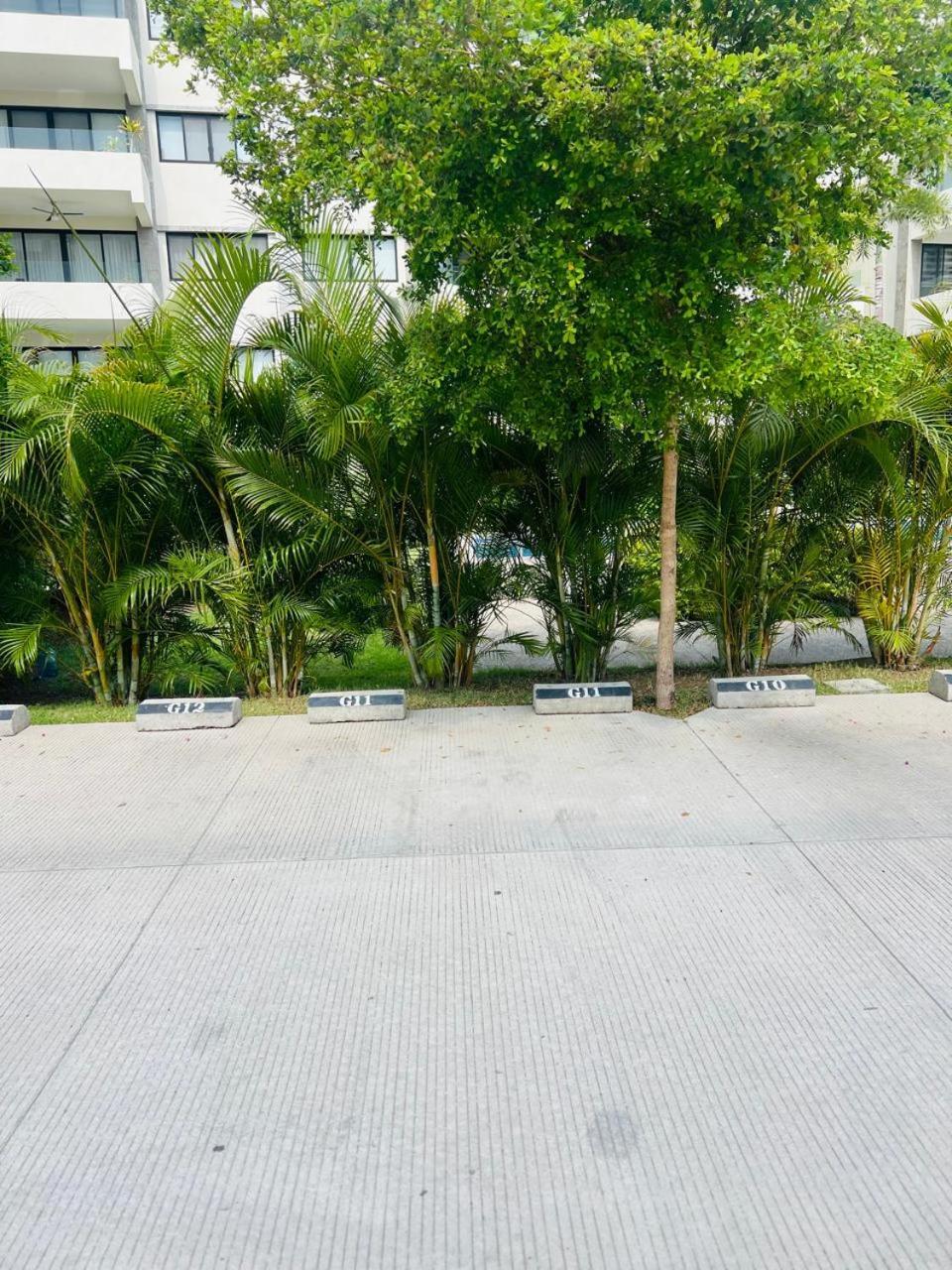 Departamento Residencial En Nuevo Vallarta, Nayarit