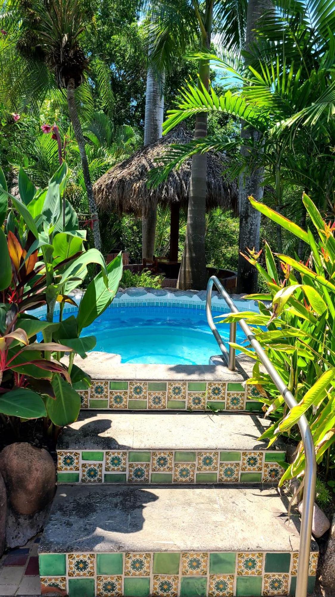 Bed and breakfast Casa Virgilios Nuevo Vallarta