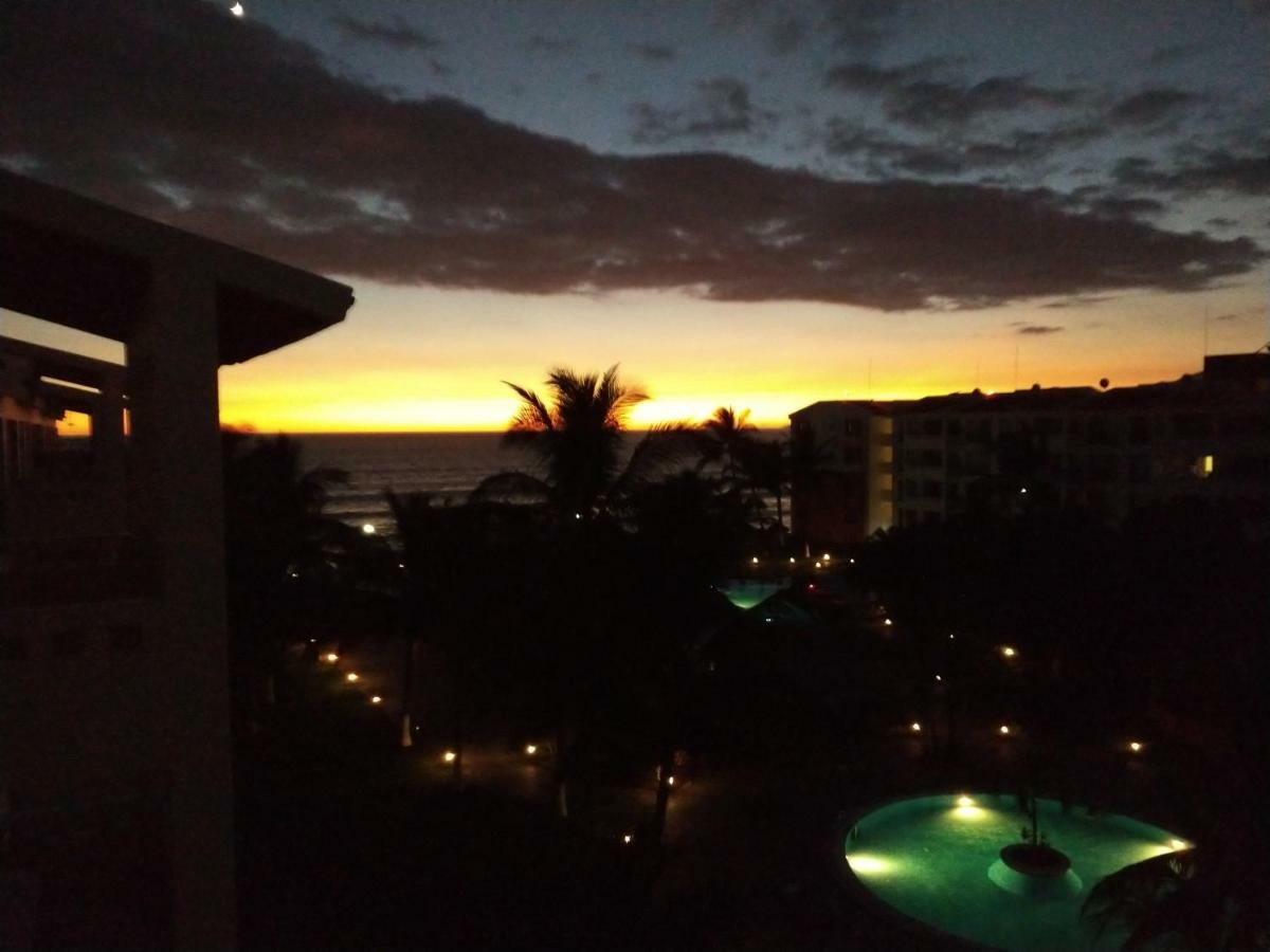 Pelicanos, Nuevo Vallarta